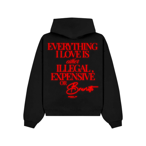 "EVERYTHING I LOVE IS EITHER ILLEGAL, EXPENSIVE OR BRUNETTE" Hoodie Red reflective back
